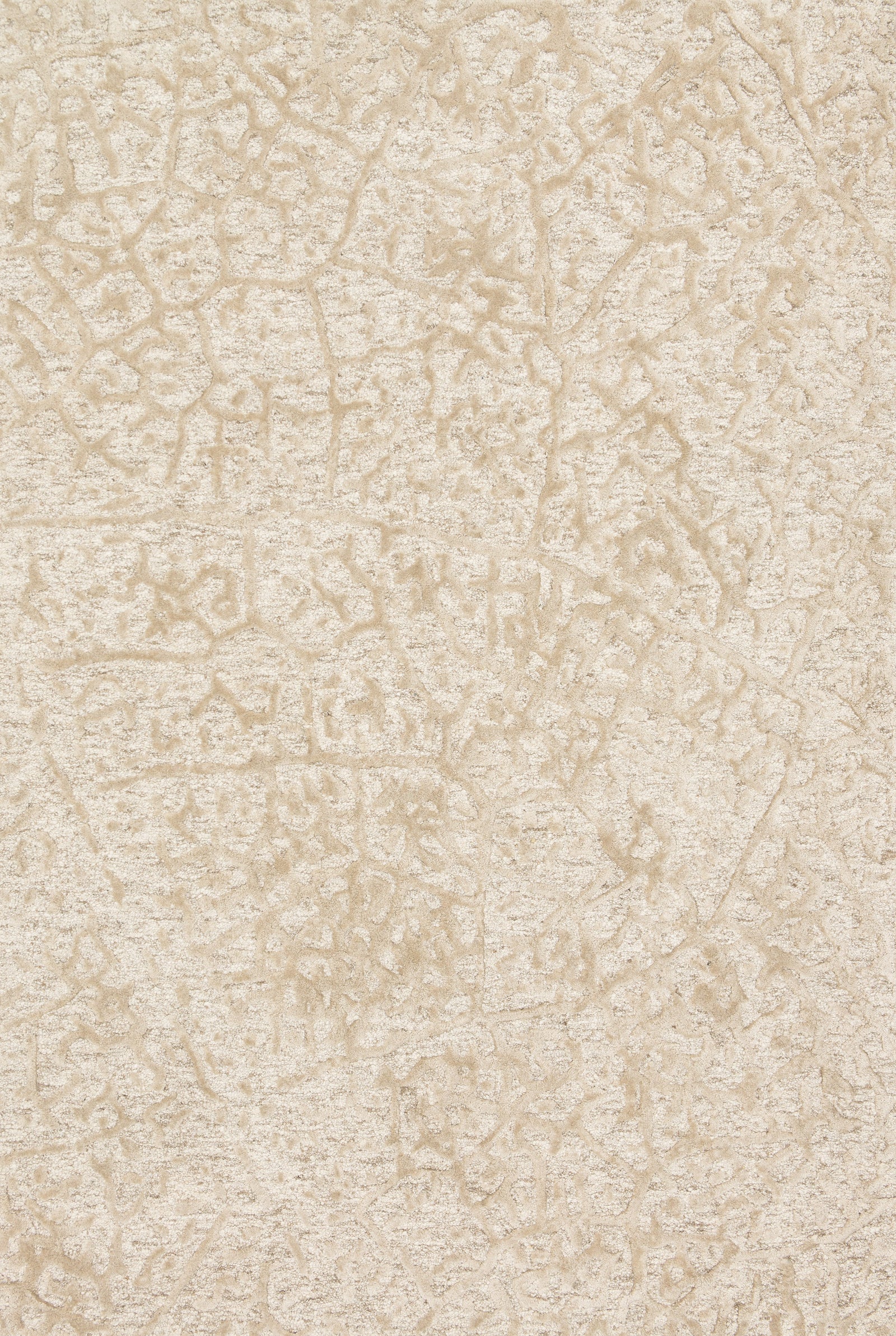 front view of Juneau Ant Ivory / Beige luxury Rug