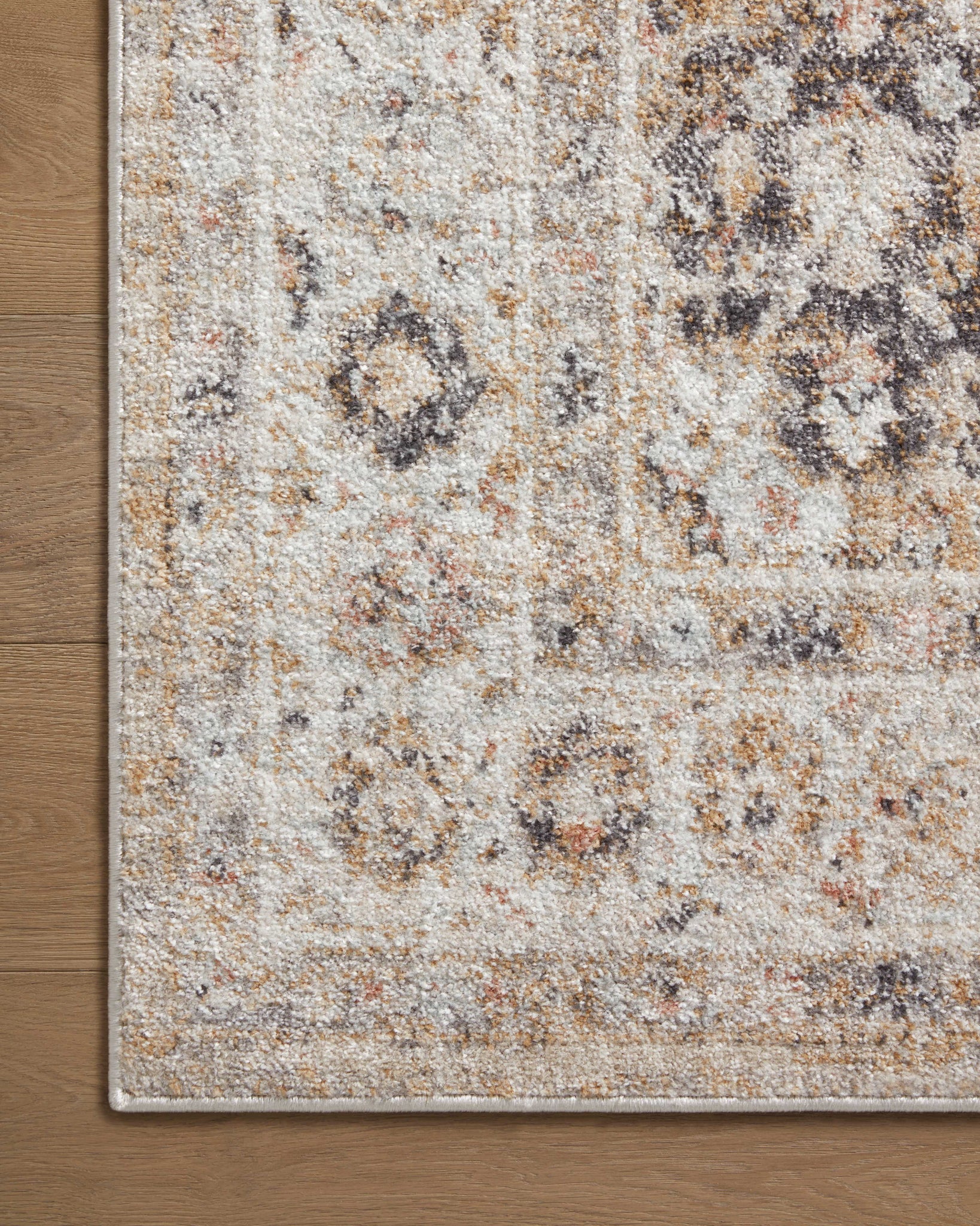 detail view of Monroe Beige / Multi luxury Rug