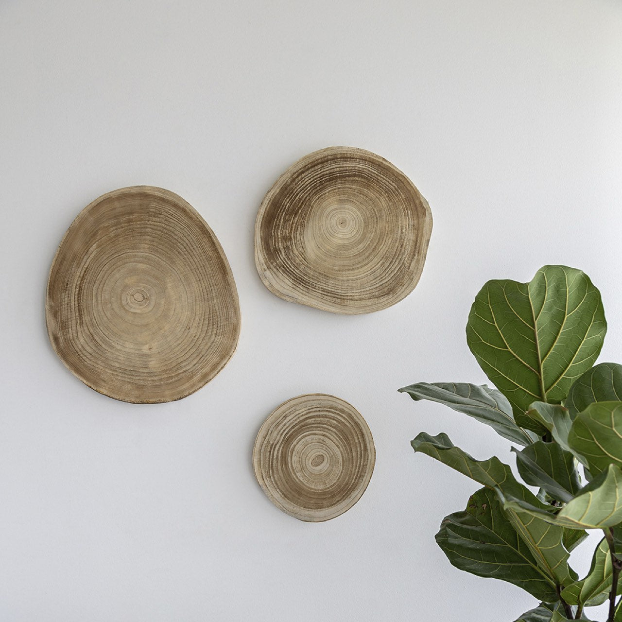 Round wooden coaster with concentric circles on a white background