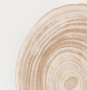 Close-up of a wooden surface with visible grain and texture