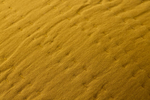 Yellow Pillow - Macro Detail (H)