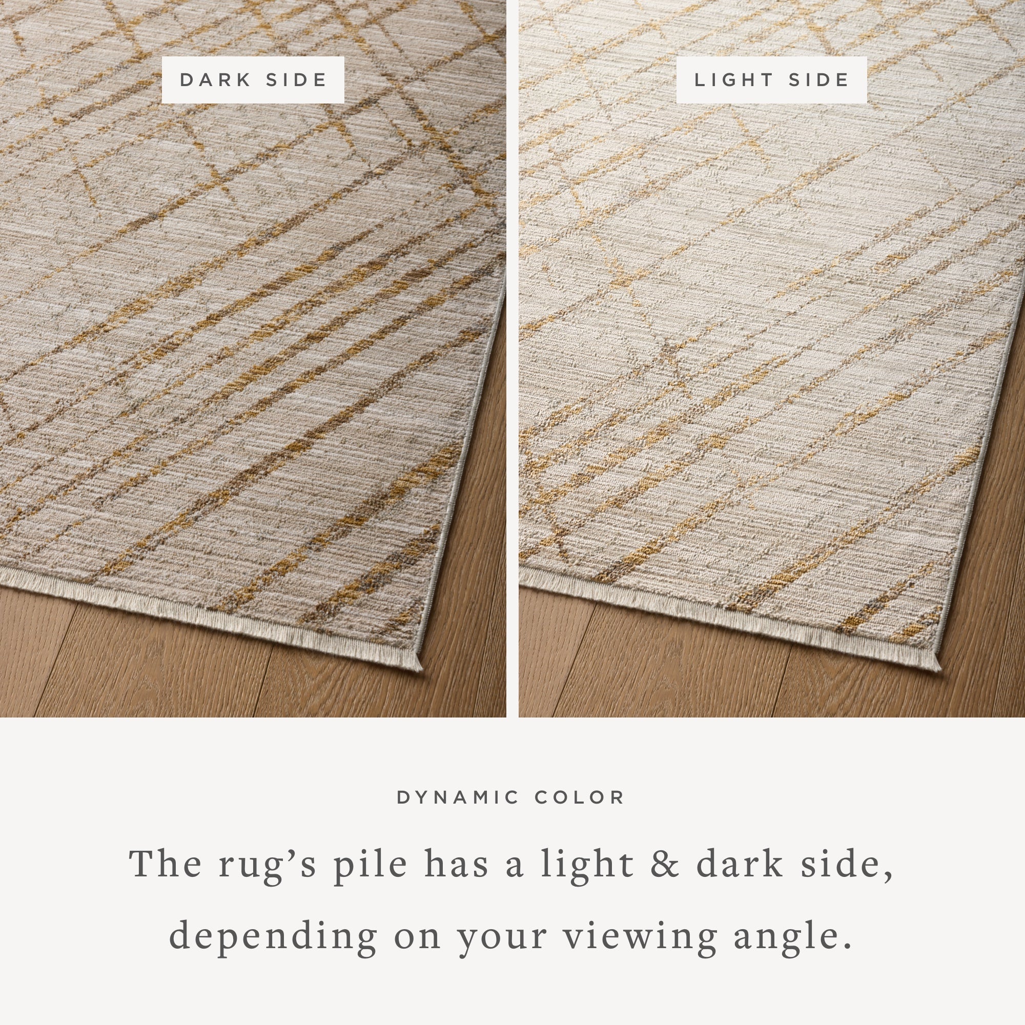 Wade Beige / Gold - Styled Aerial #4 (H)