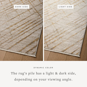 Wade Beige / Gold - Styled Aerial #4 (H)