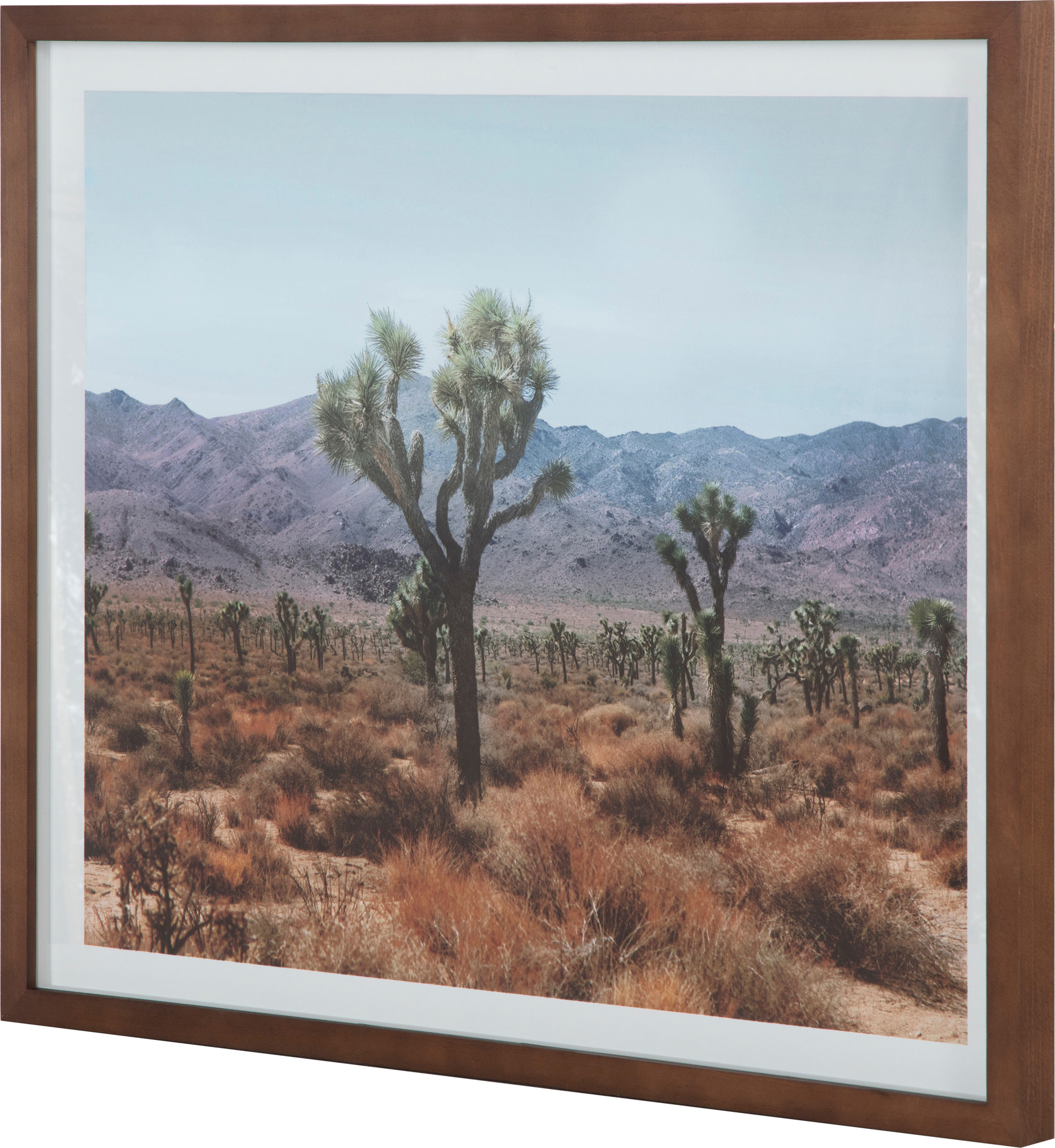 Desert Land Framed Print