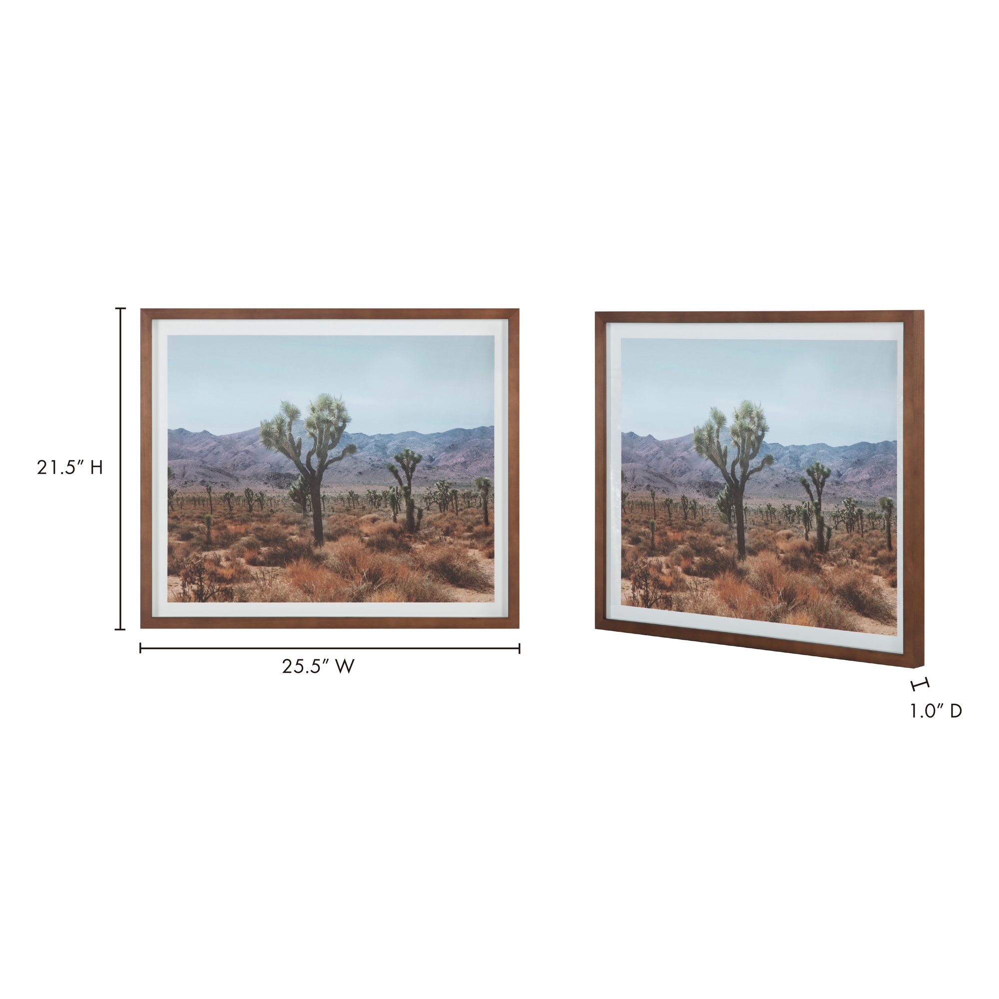 Desert Land Framed Print