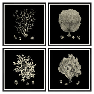 Black & Tan Coral Quartet Bundle