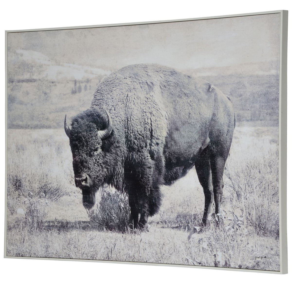 North Range Canvas Art featuring a bison in a monochrome landscape setting.