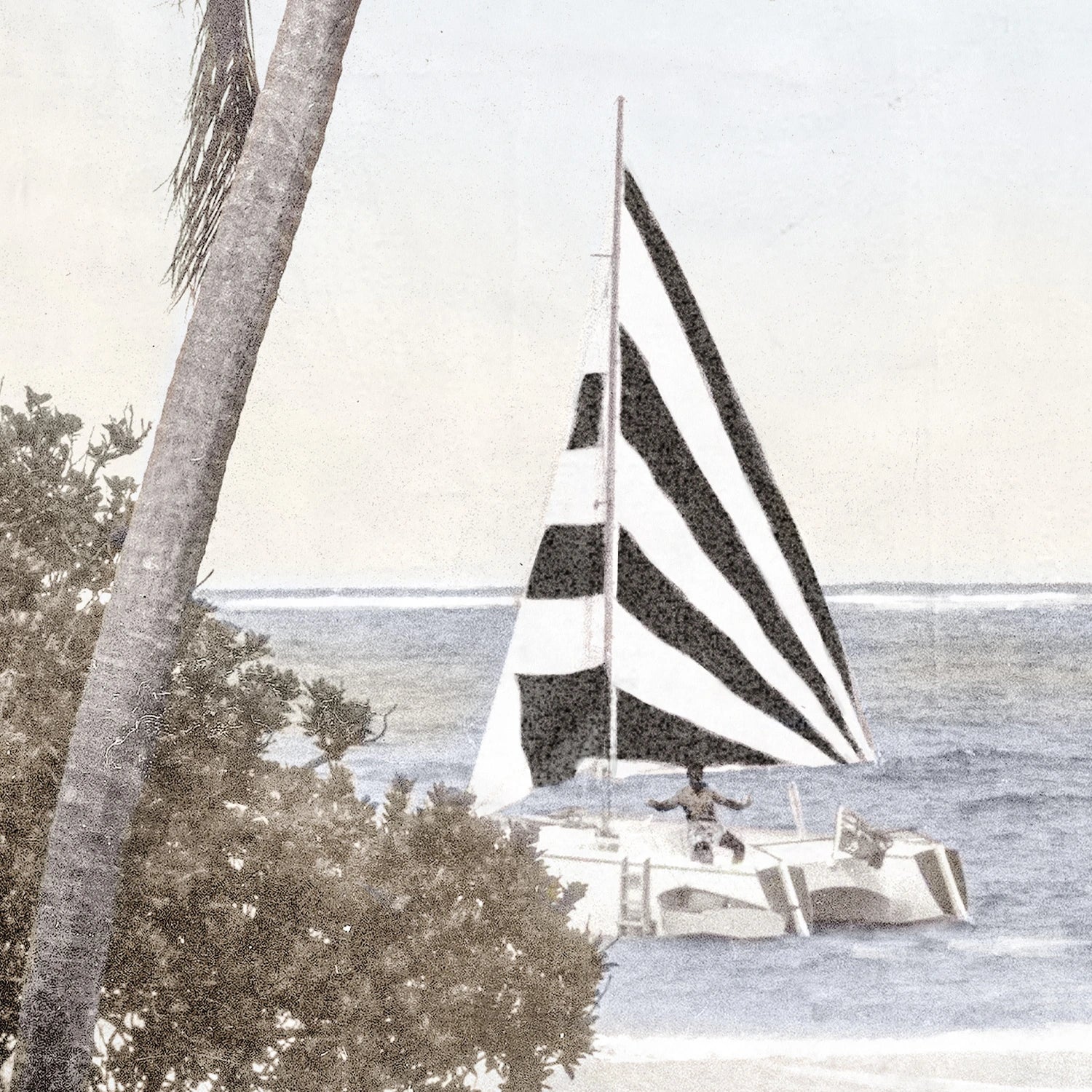 side view of Catamaran luxury Artwork