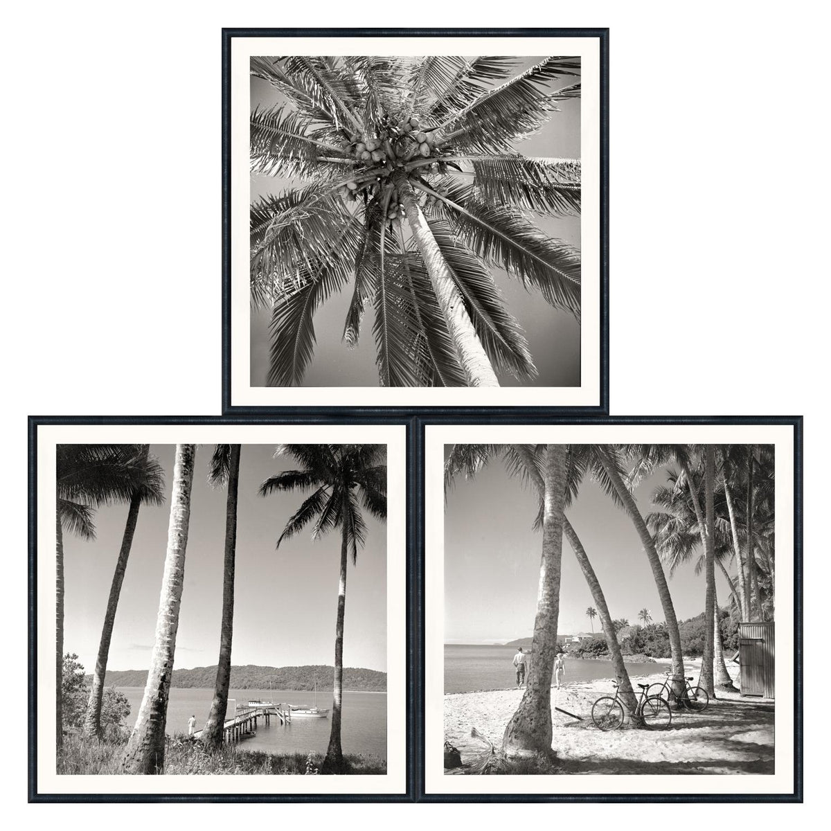 Nostalgic Palm Trees Bundle