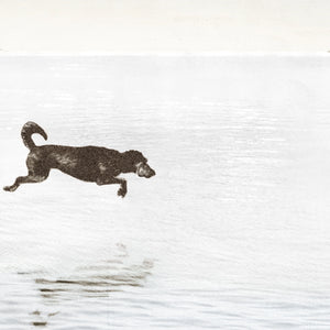 detail view of Dogs Day at the Cottage luxury Artwork