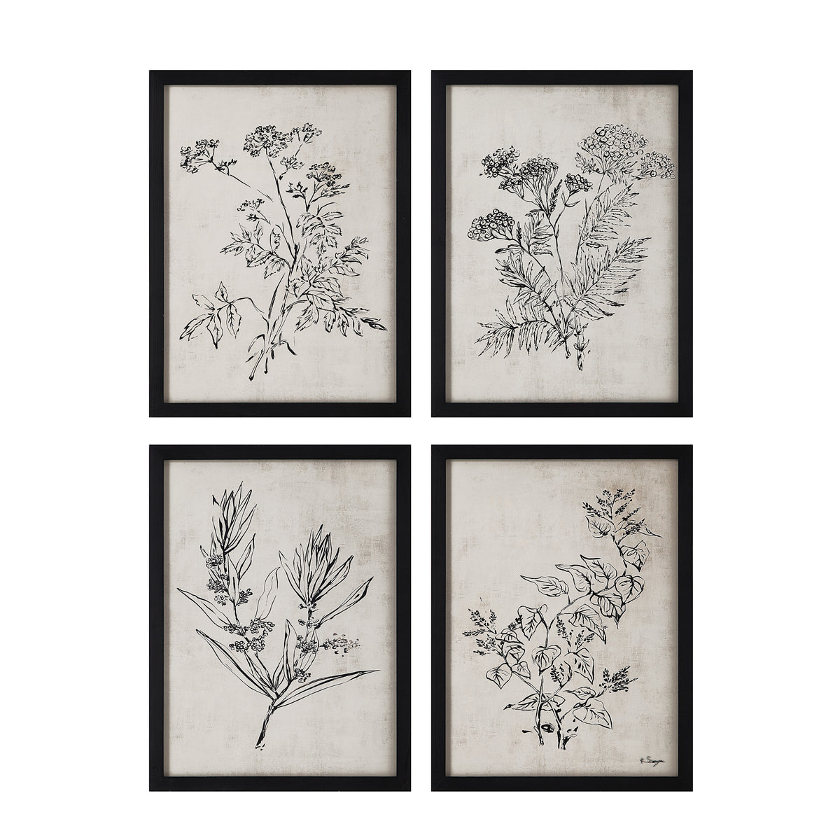 Basset Canvas Art featuring four botanical illustrations in black frames on a beige background.