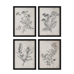 Basset Canvas Art featuring four botanical illustrations in black frames on a beige background.