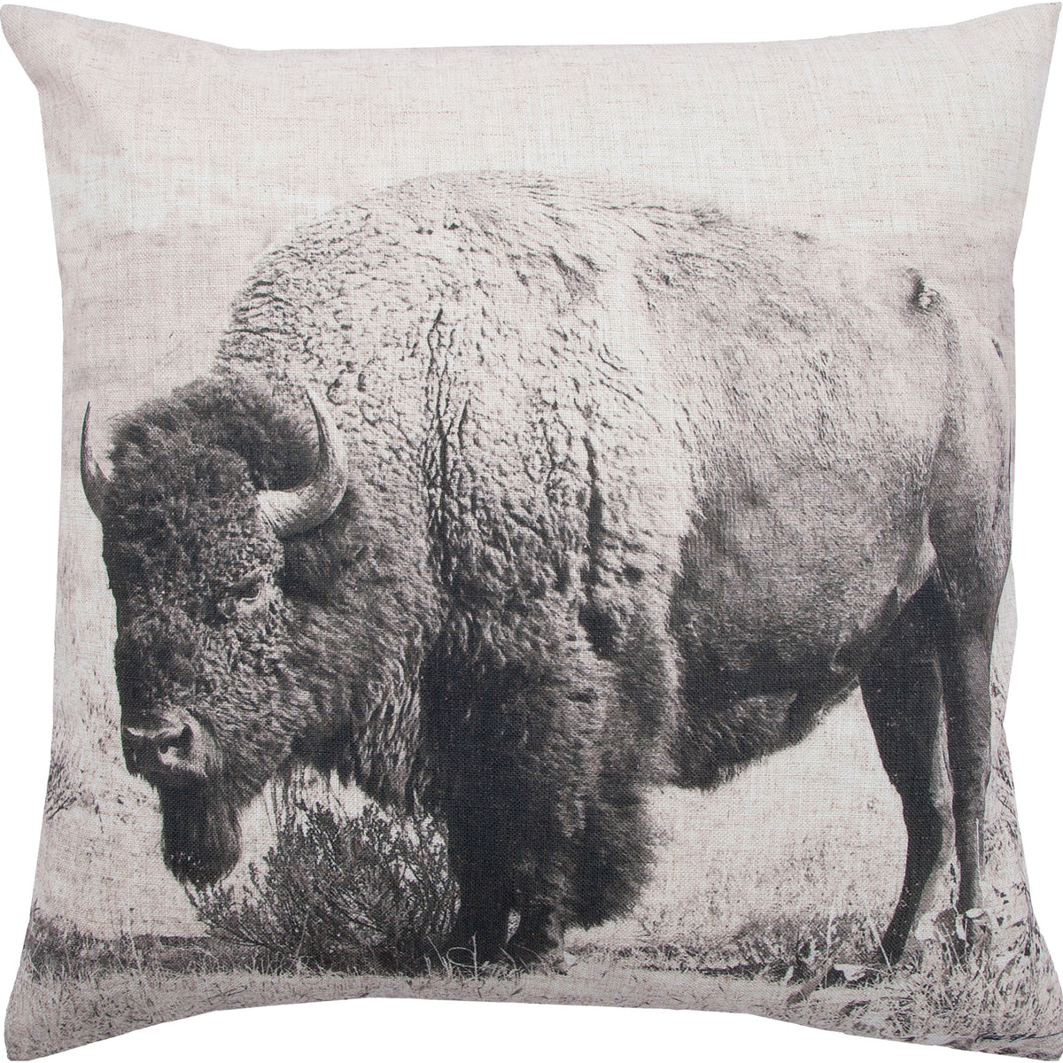 Russ indoor pillow featuring a black and white buffalo graphic on a textured fabric.