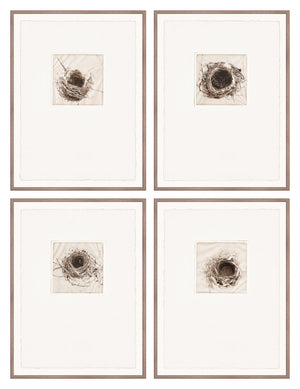 Intaglio Nests Complete Quartet Bundle - composite