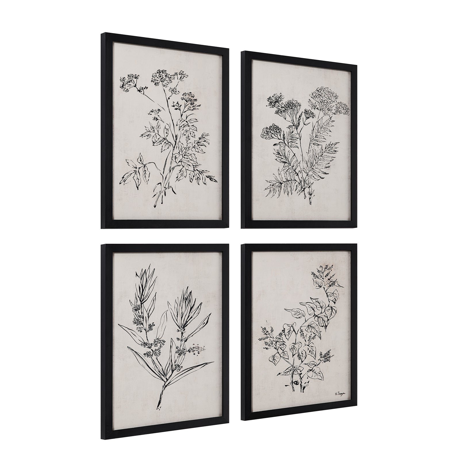 Basset Canvas Art featuring four botanical illustrations in black frames on a beige background.