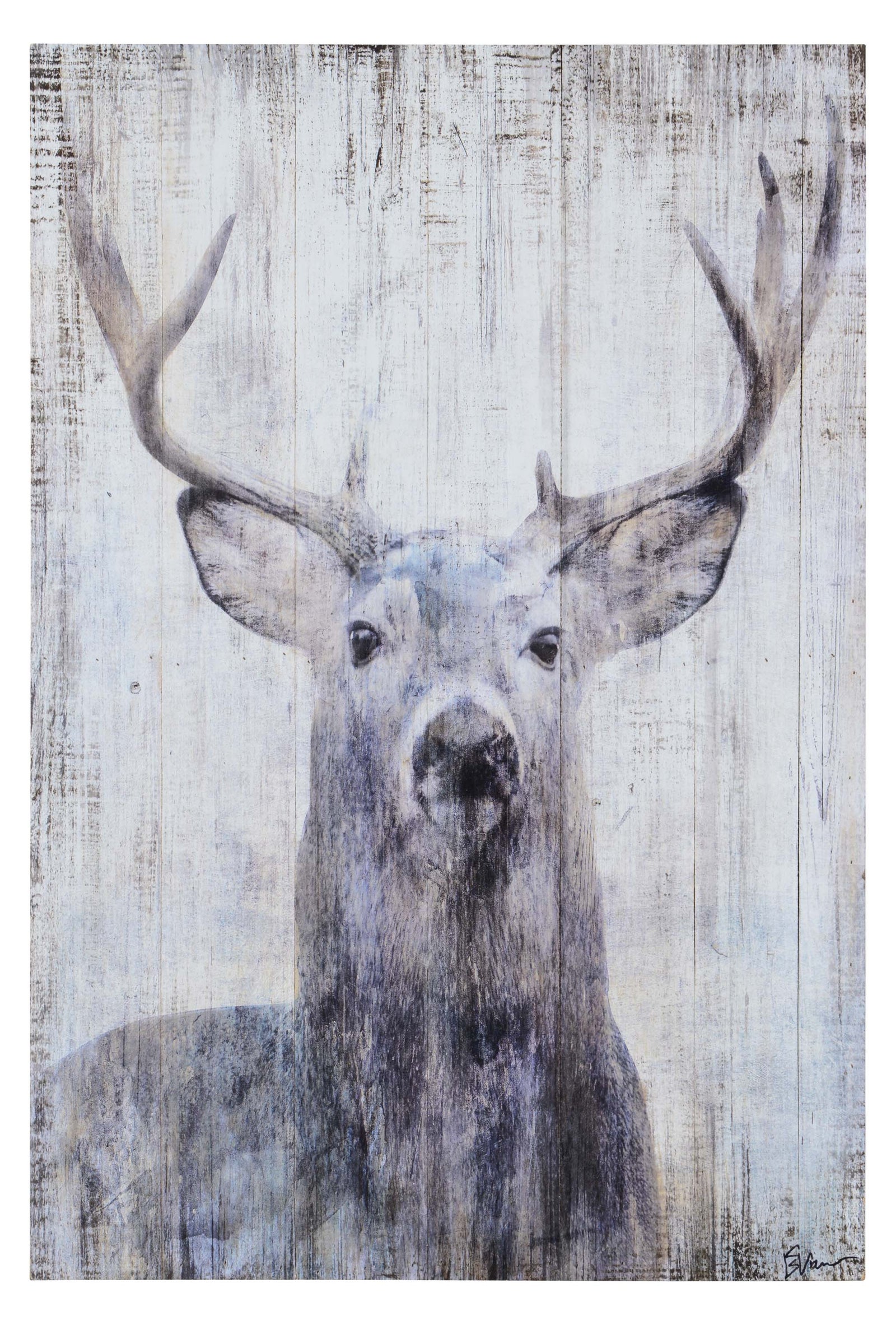 Gaze Wall Art featuring a deer with antlers on a weathered wood background.
