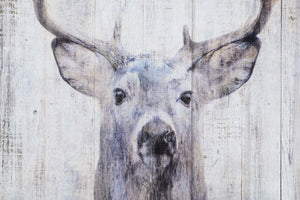 Gaze Wall Art depicting a close-up of a deer with antlers on a distressed wood surface.