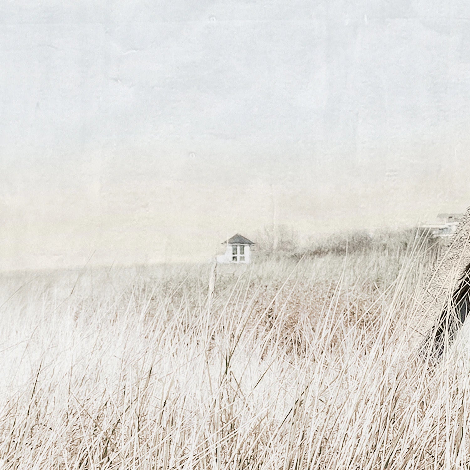detail view of Seaside Cottage luxury Artwork