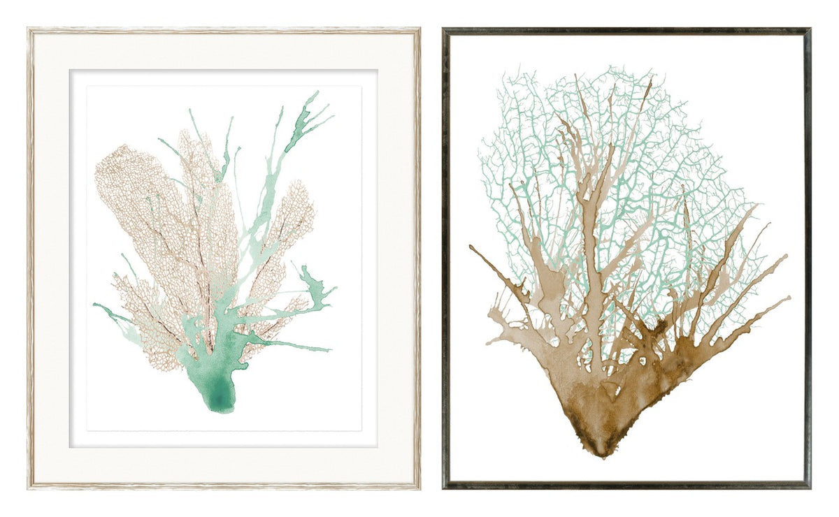 Spa Coral Pair I/II Bundle