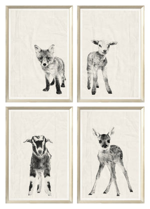 Vintage Babies Quartet Bundle