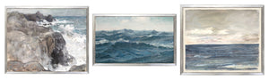 Vintage Coastal Studies Trio Bundle