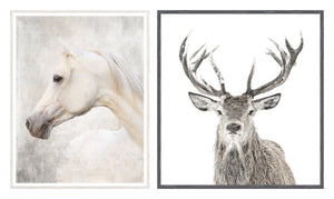 White Arabian & Stag Pair Bundle