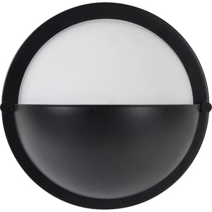 Raina Wall Sconce viewed from above, highlighting the black and white color contrast