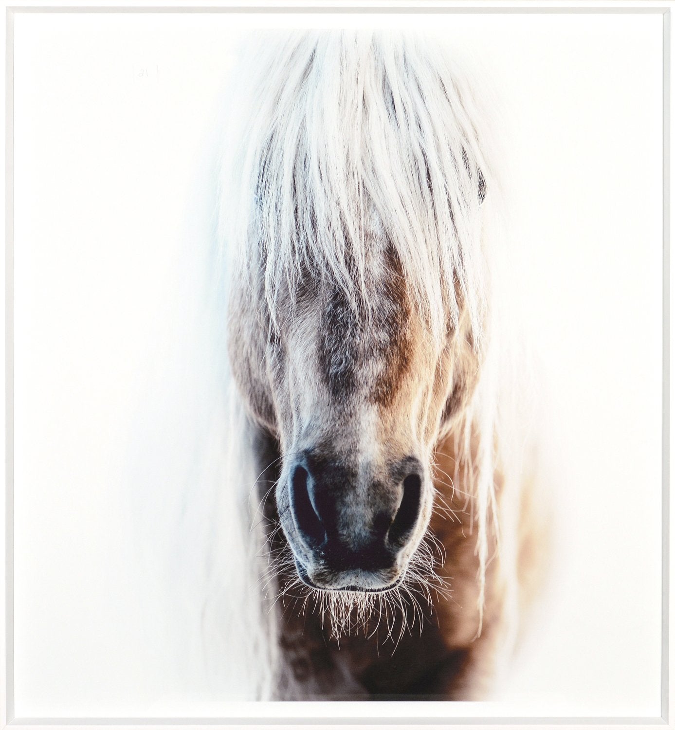 front view of Palomino luxury Artwork