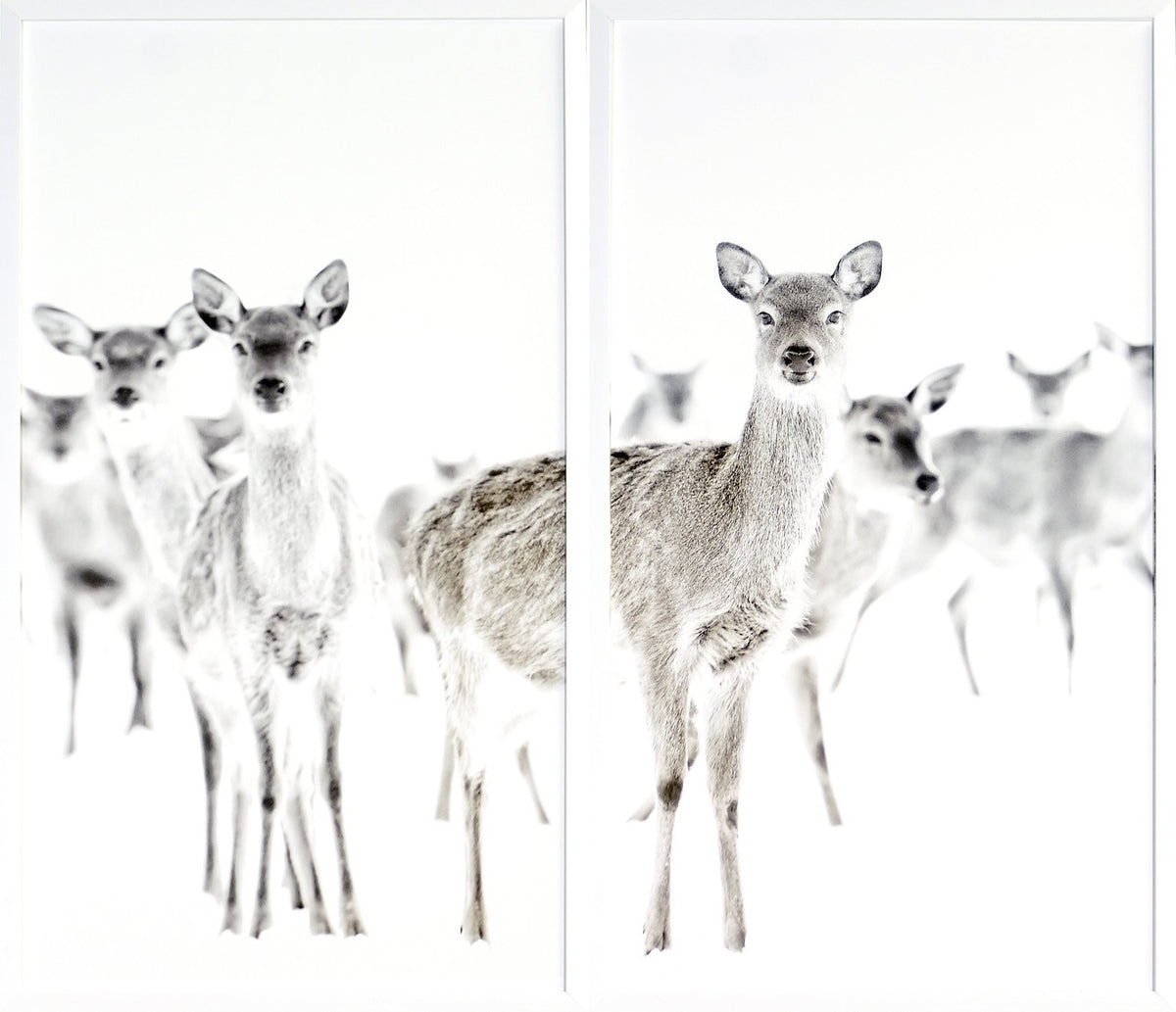 front view of Surveillance luxury Artwork