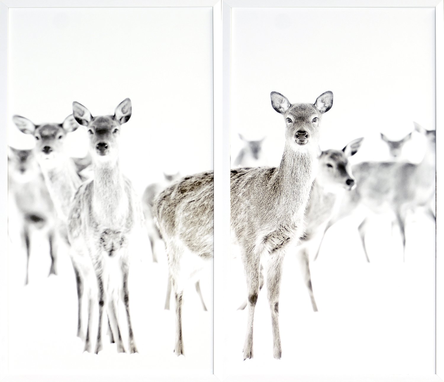 front view of Surveillance luxury Artwork