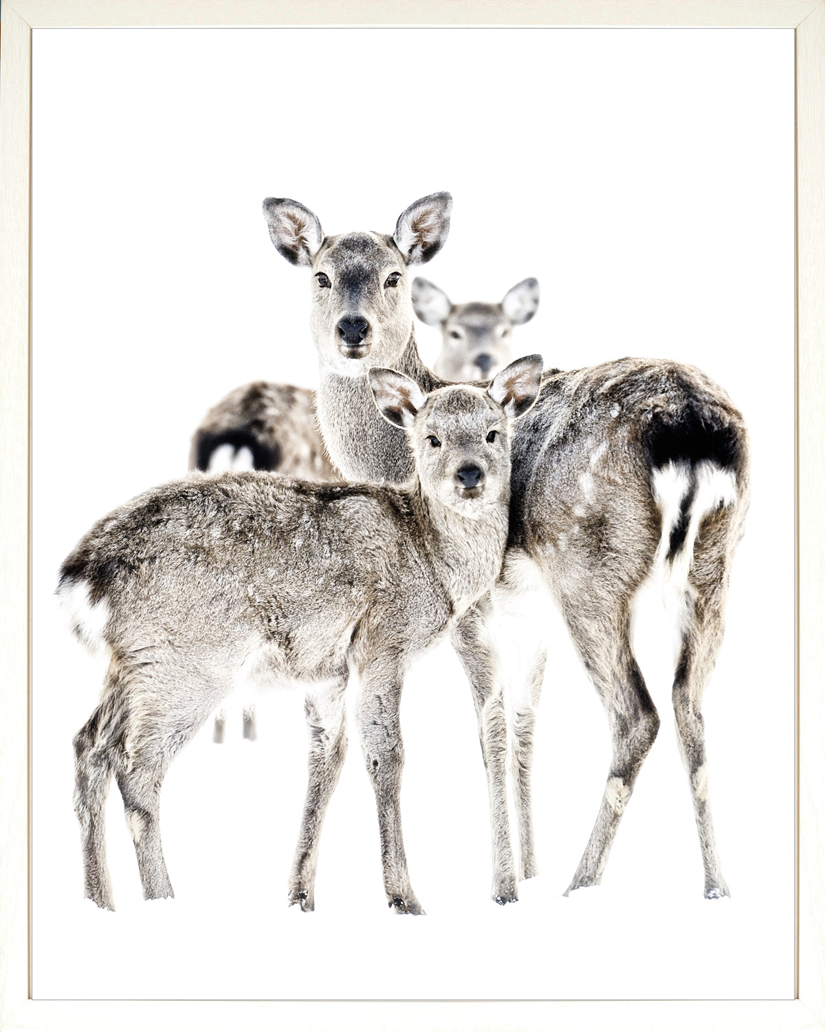 front view of Maternal Vigil luxury Artwork