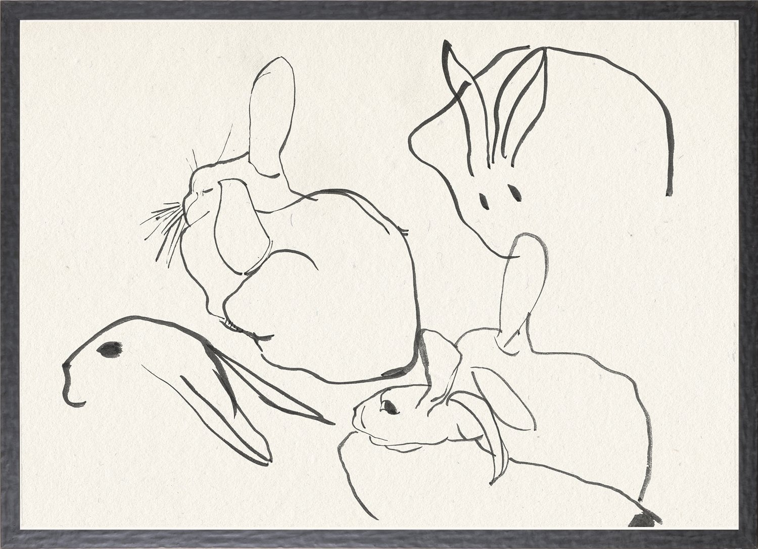 Collection 12 Cachet, Rabbit Study 1896