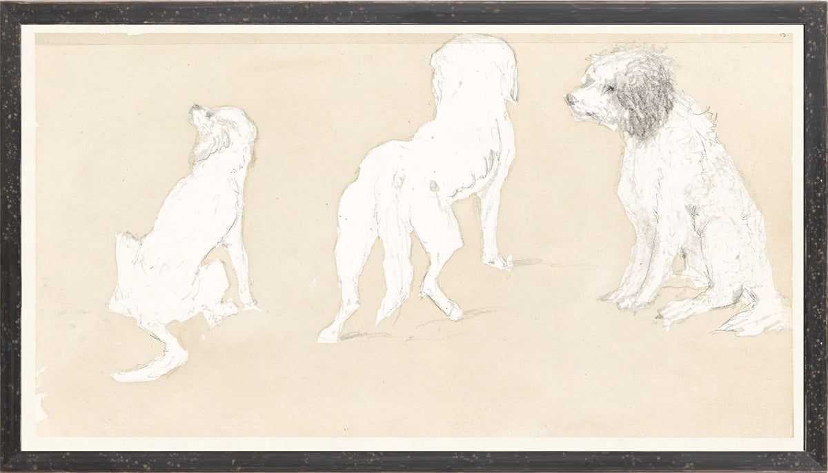 front view of Collection 17 Dog Study luxury Artwork