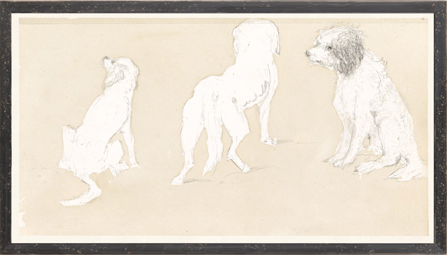 front view of Collection 17 Dog Study luxury Artwork