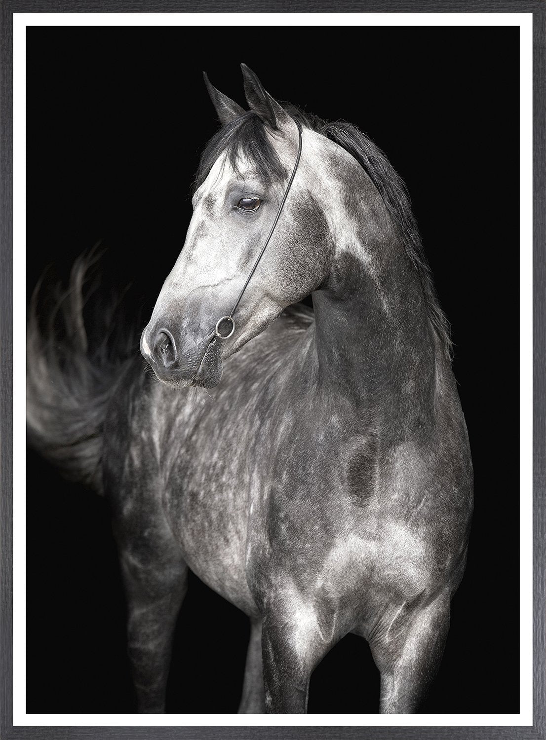 front view of Arabian Profile luxury Artwork