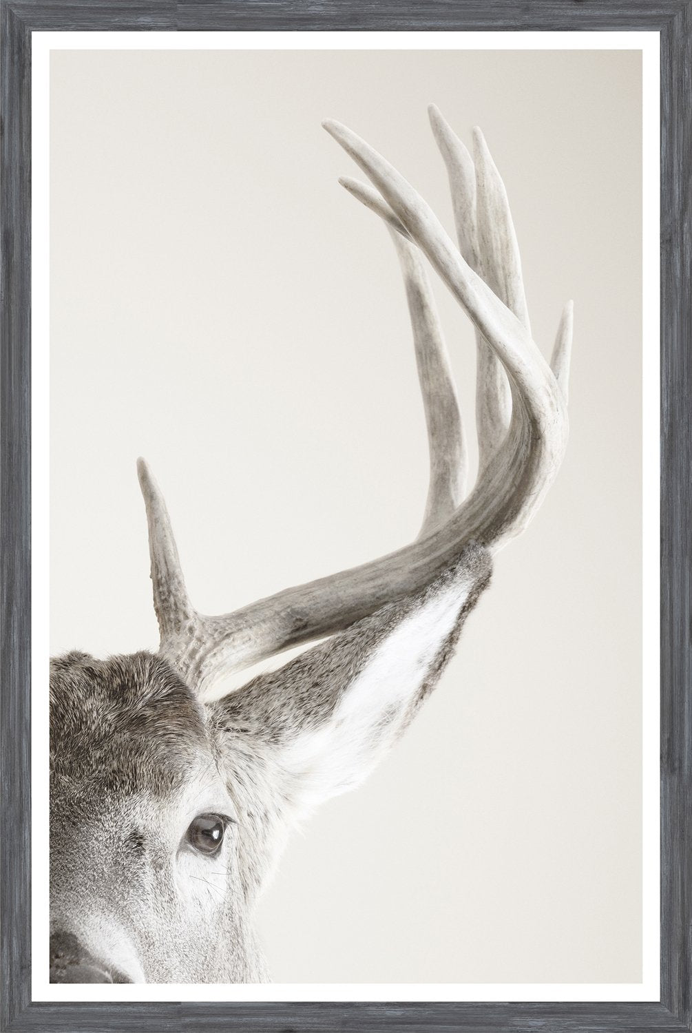 front view of Focused Regard luxury Artwork