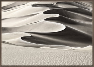 High Desert Dune