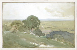 Petite Scapes Olive Trees At Tivoli C. 1873