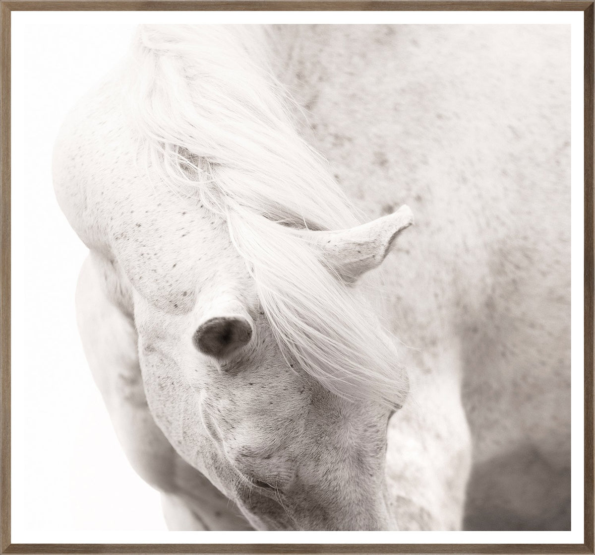 front view of Equine Portrait luxury Artwork