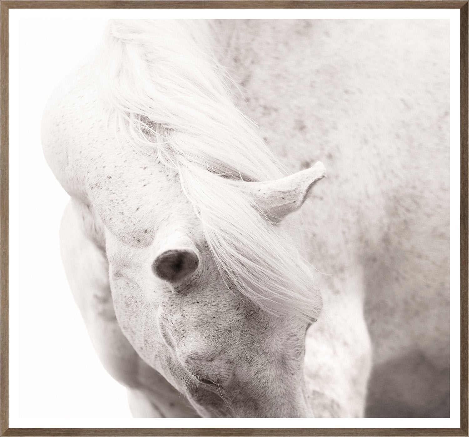 front view of Equine Portrait luxury Artwork