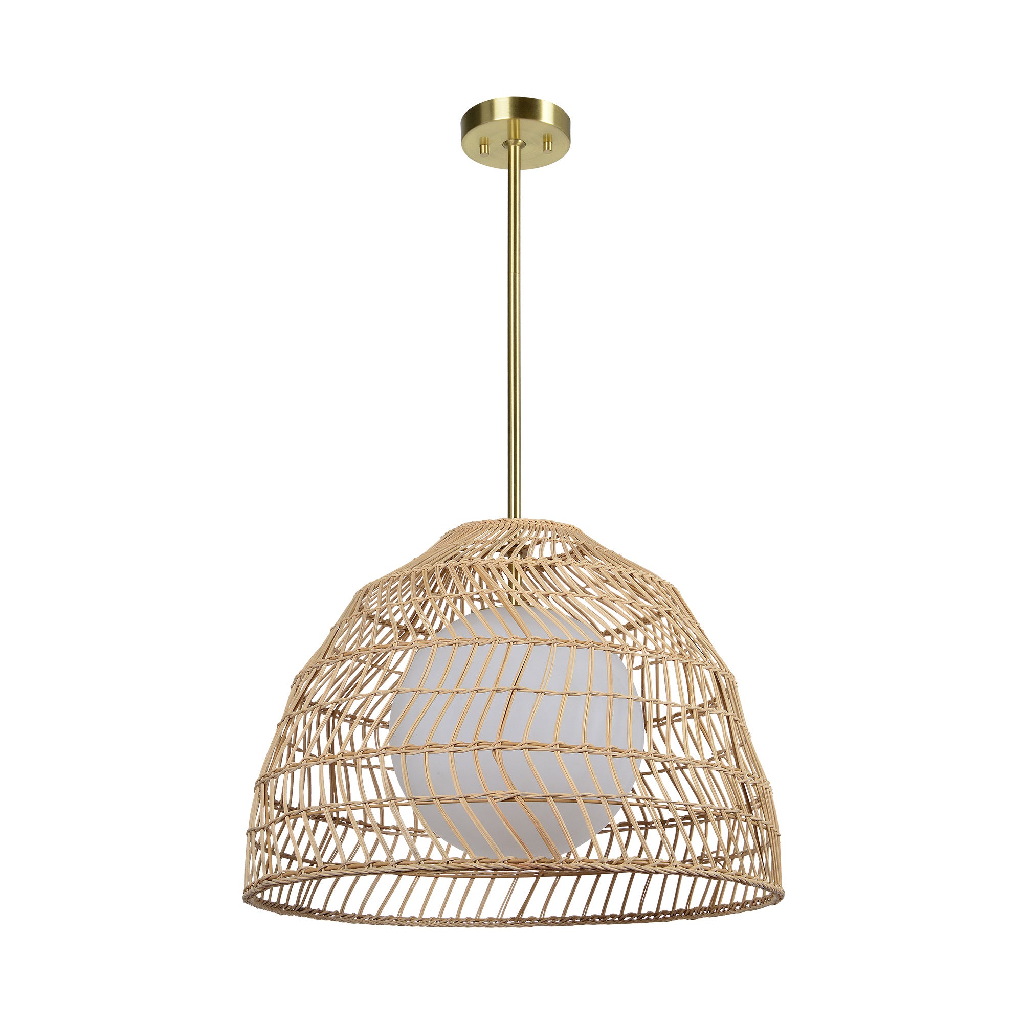 angle view of Palm luxury Lighting